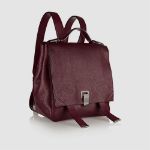 تصویر  Stylish Leather backpack